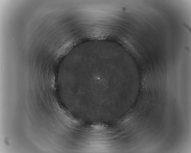 X0000102230693200808011226