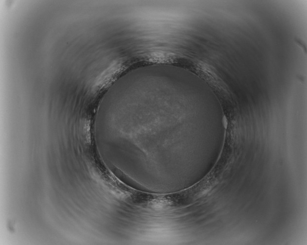 X0000102230696200808011226