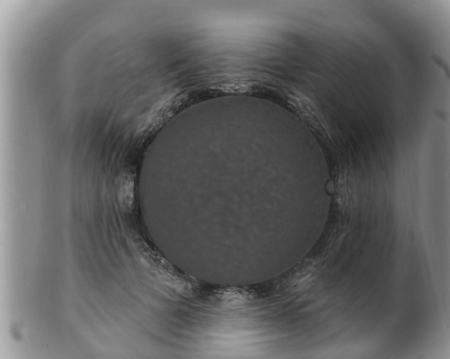X0000102230697200808011226