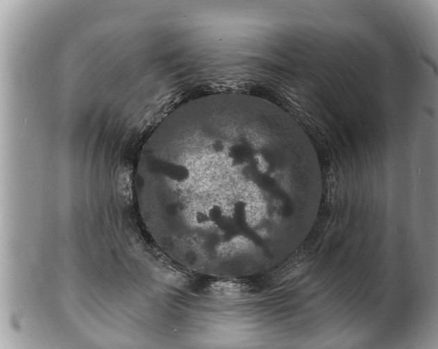 X0000102230699200808011226