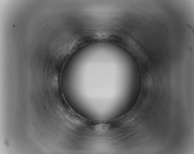 X0000102230700200808011226