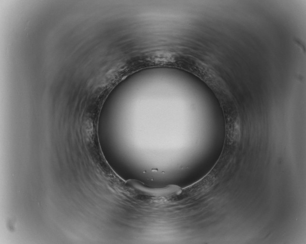 X0000102230704200808011226