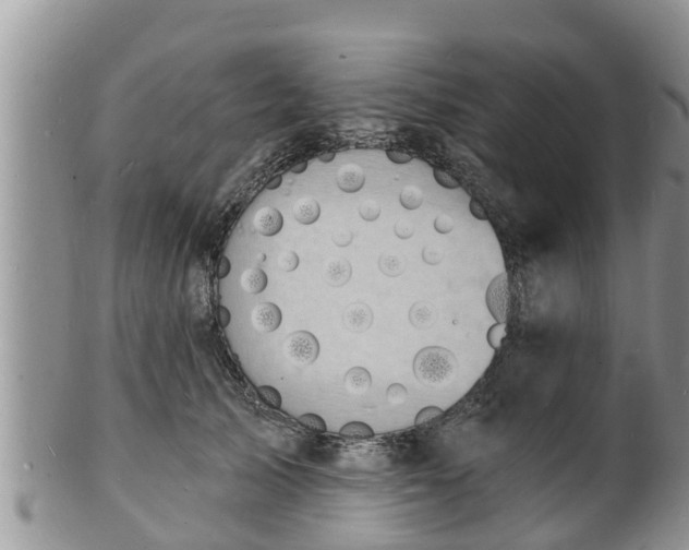 X0000102230705200808011226