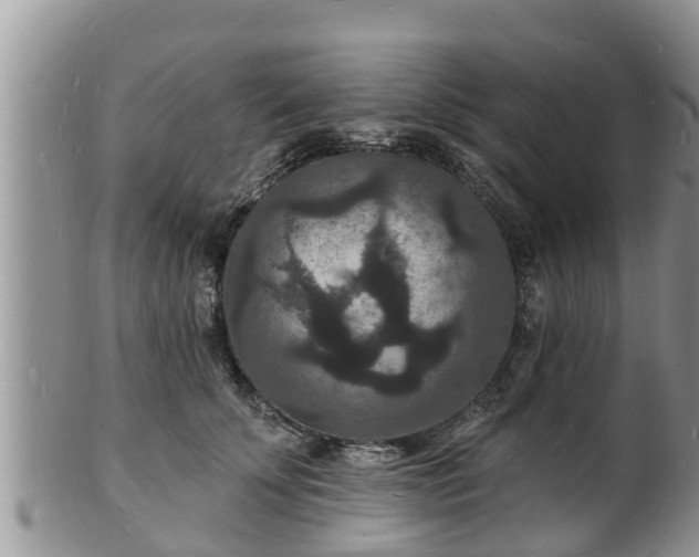 X0000102230707200808011226