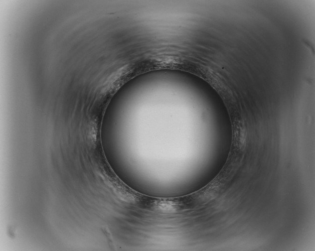 X0000102230710200808011225