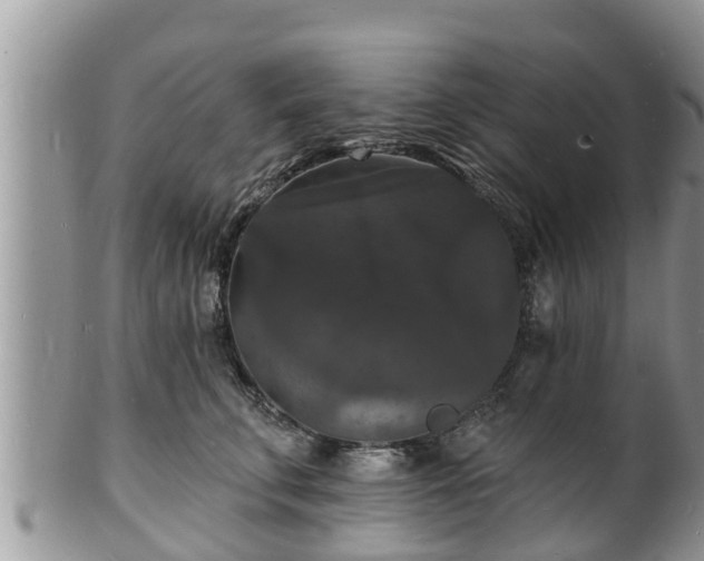 X0000102230711200808011225