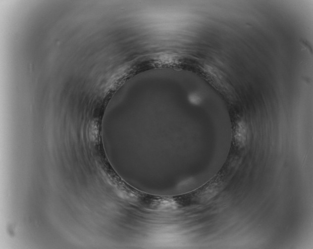 X0000102230715200808011225