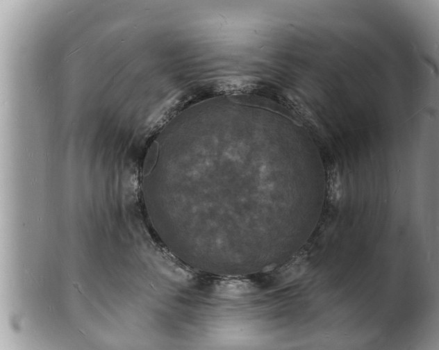 X0000102230716200808011225