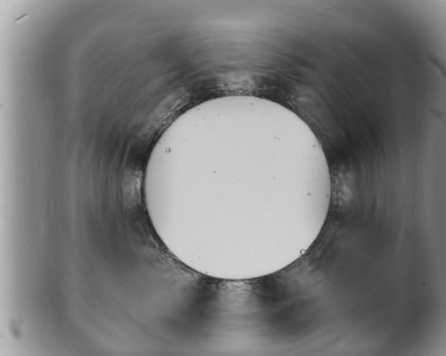 X0000102230717200808011225