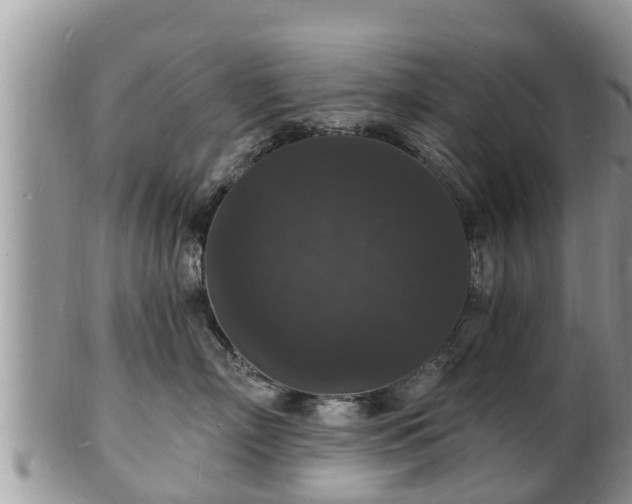 X0000102230718200808011225