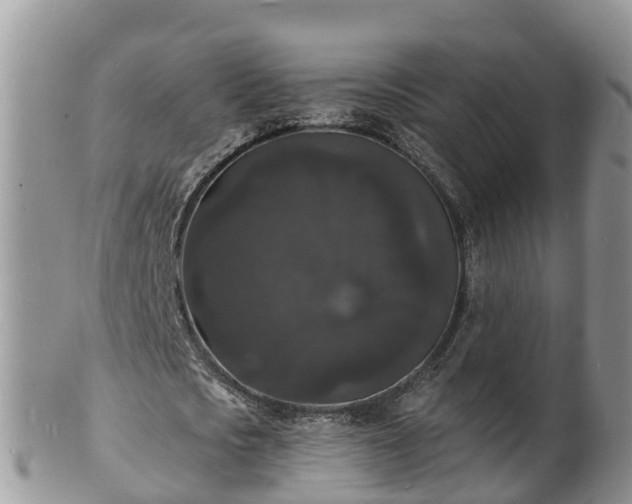 X0000102230721200808011225