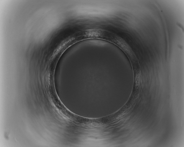 X0000102230722200808011225
