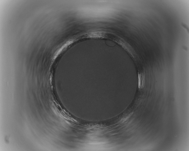 X0000102230723200808011225