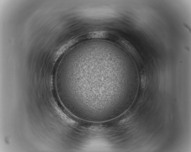 X0000102230725200808011225