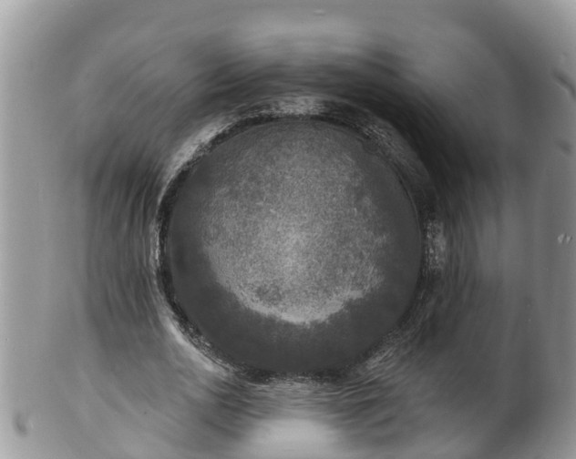 X0000102230726200808011225