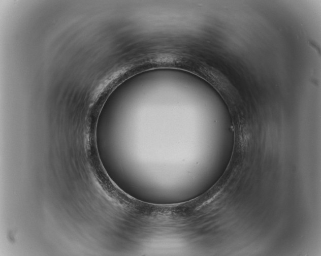 X0000102230728200808011225