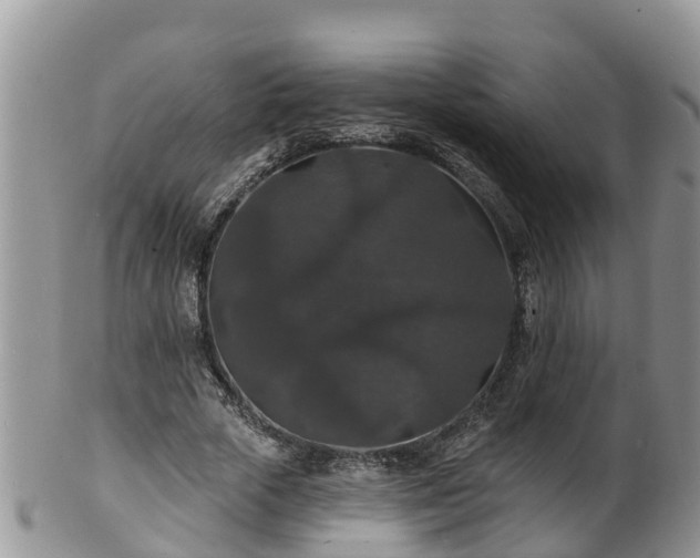 X0000102230729200808011225