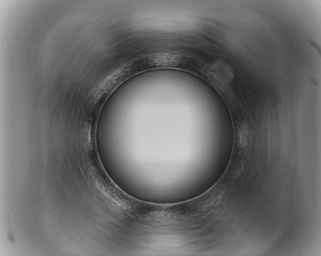 X0000102230733200808011225
