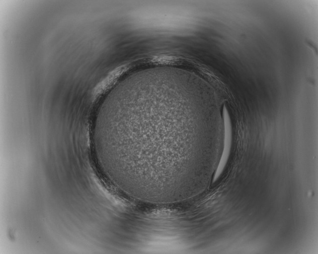 X0000102230734200808011225