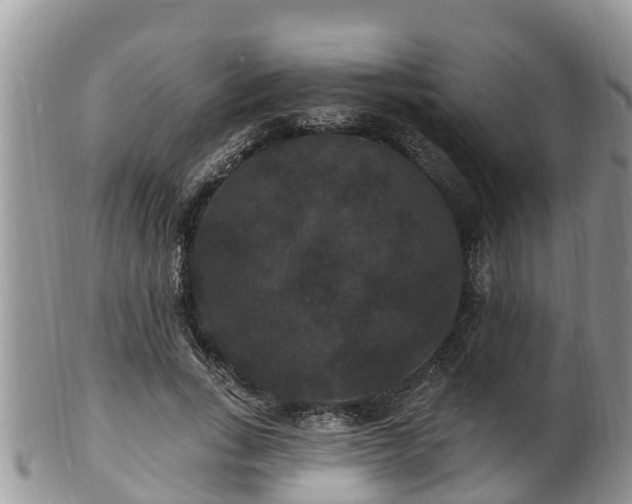 X0000102230735200808011225
