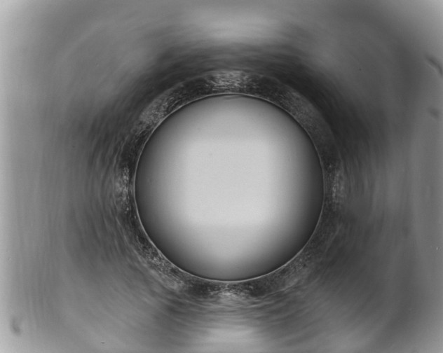 X0000102230737200808011225