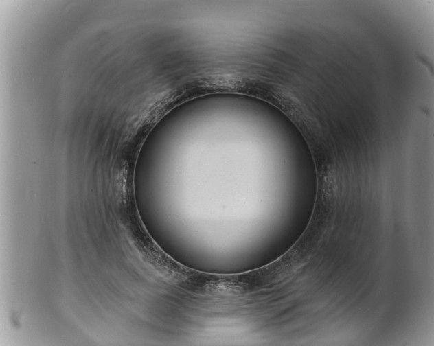 X0000102230739200808011225