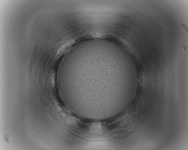 X0000102230740200808011225