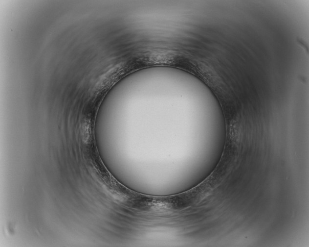 X0000102230741200808011225