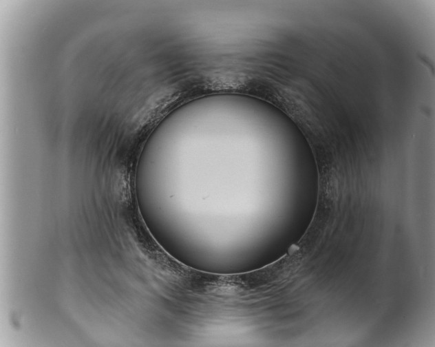X0000102230743200808011225