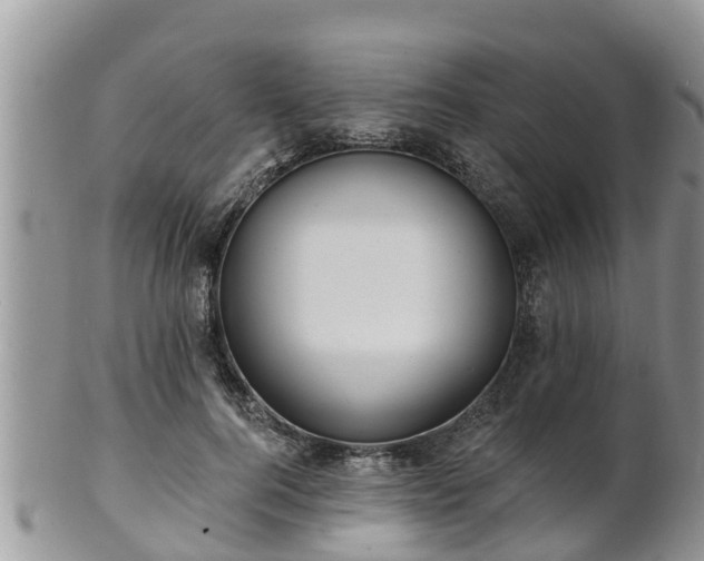 X0000102230744200808011225