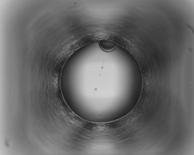 X0000102230745200808011225