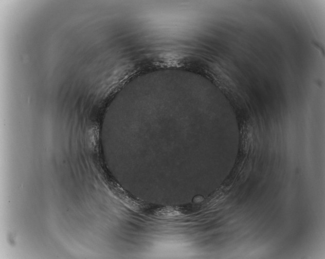 X0000102230747200808011225