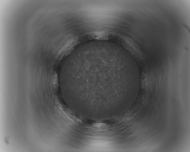 X0000102230748200808011225