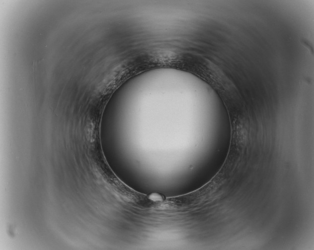 X0000102230750200808011225