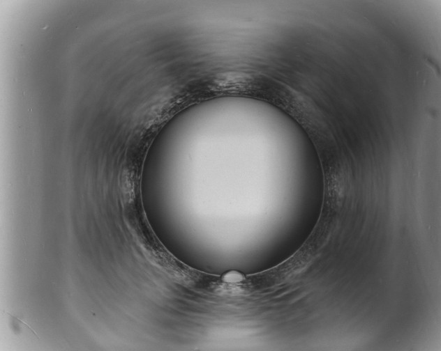 X0000102230751200808011225