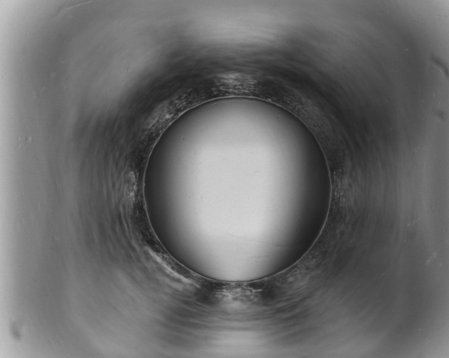 X0000102230752200808011225