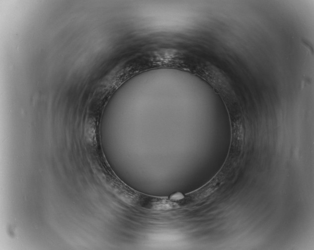 X0000102230754200808011225