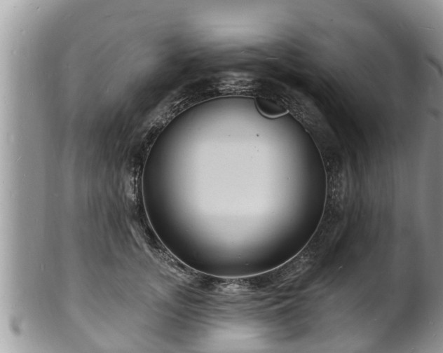 X0000102230755200808011225