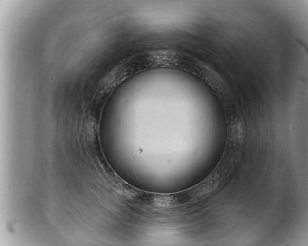 X0000102230757200808011225