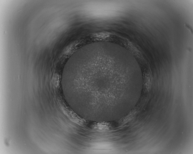 X0000102230758200808011225