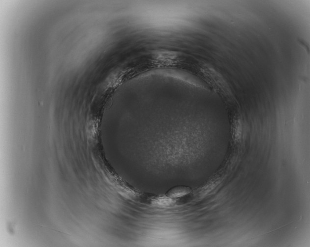 X0000102230759200808011225