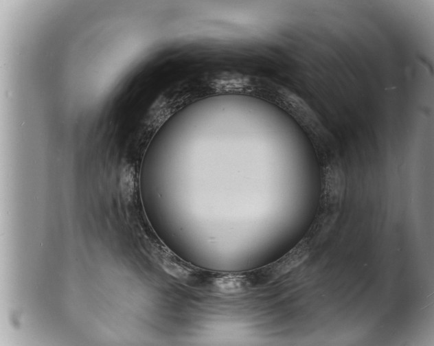 X0000102230761200808011225