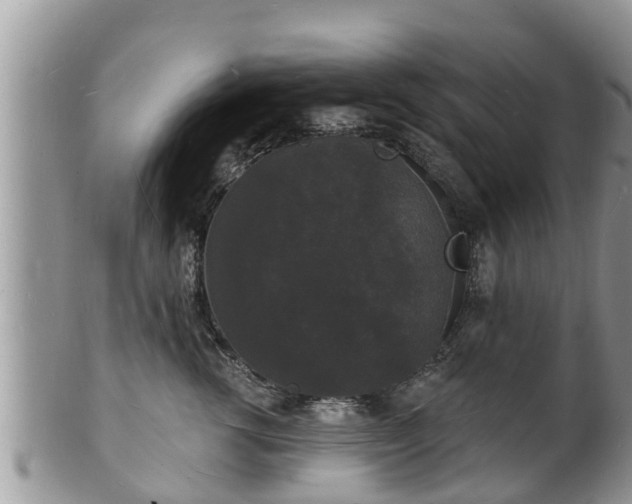 X0000102230762200808011225