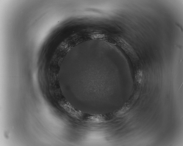 X0000102230763200808011225