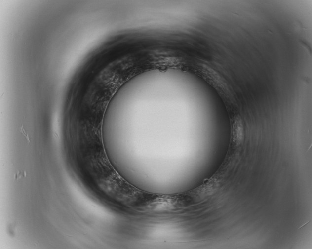 X0000102230764200808011225