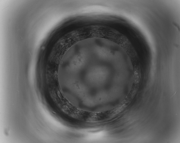 X0000102230765200808011225