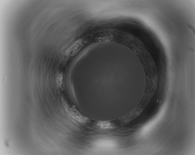 X0000102230767200808011225