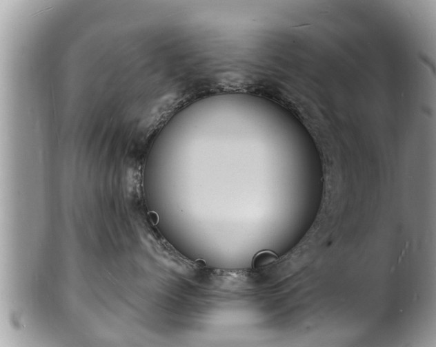 X0000102230768200808011225
