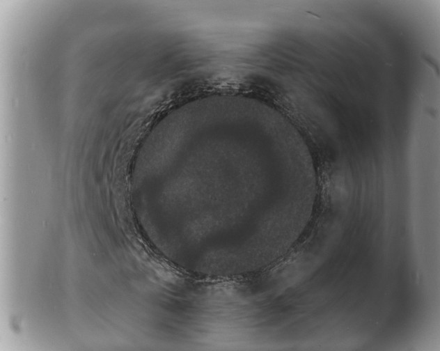X0000102230769200808011225