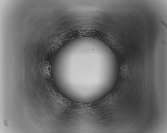 X0000102230770200808011225